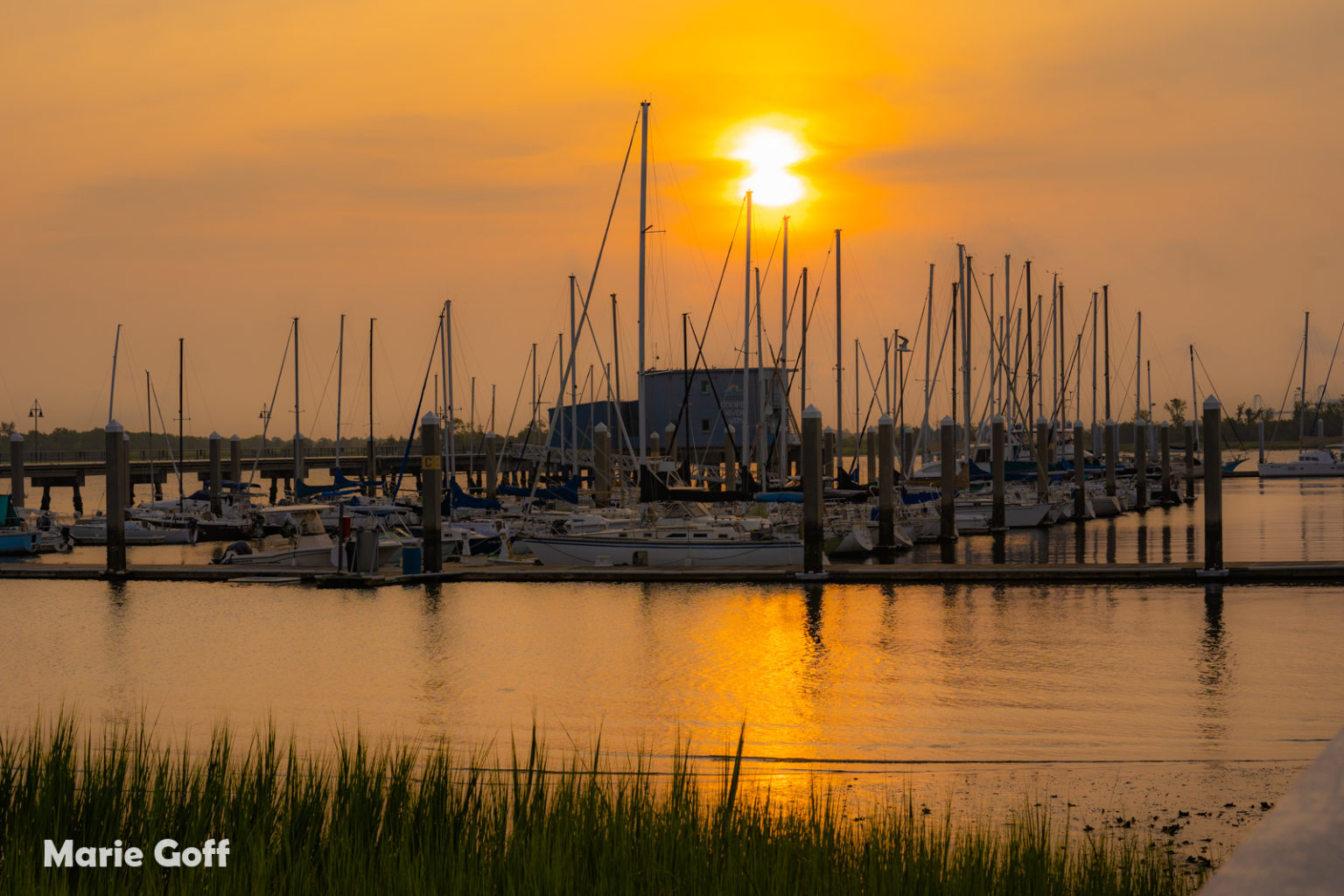 South Carolina Seven Expedition