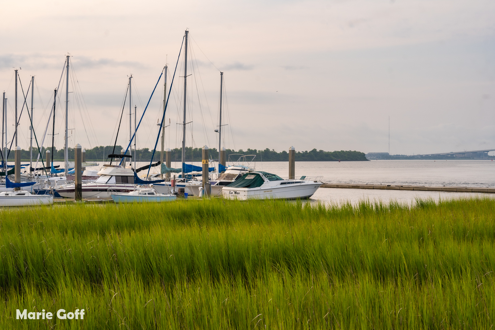 Charleston Harbor Marina