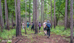 Discovering South Carolina