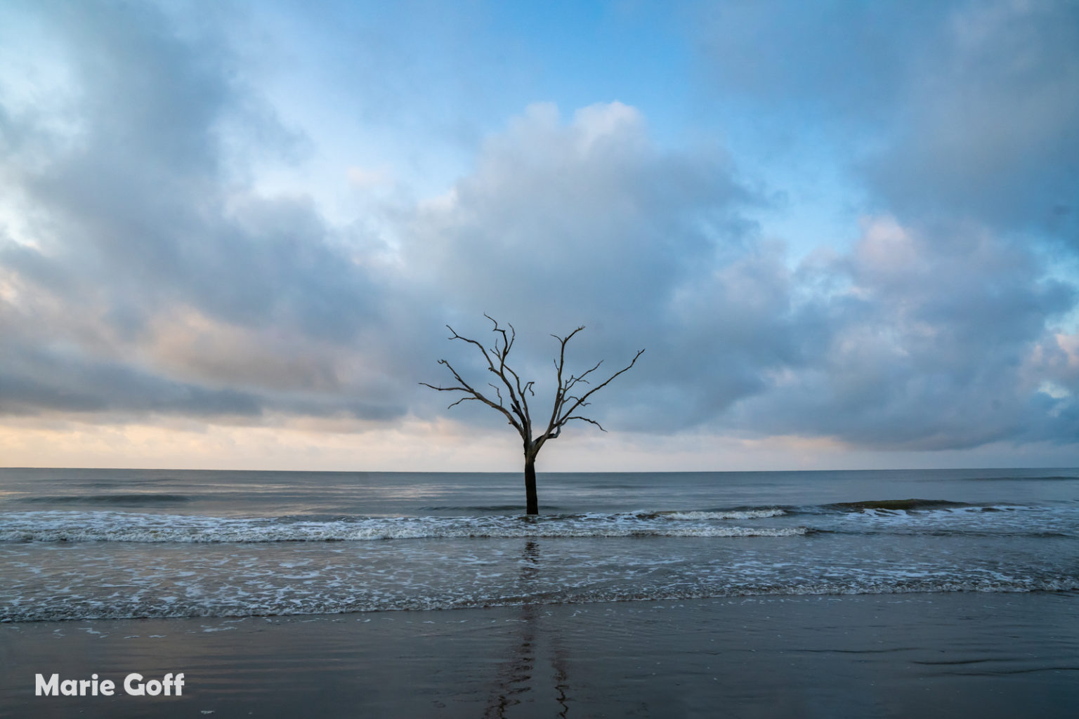 South Carolina Seven Expedition