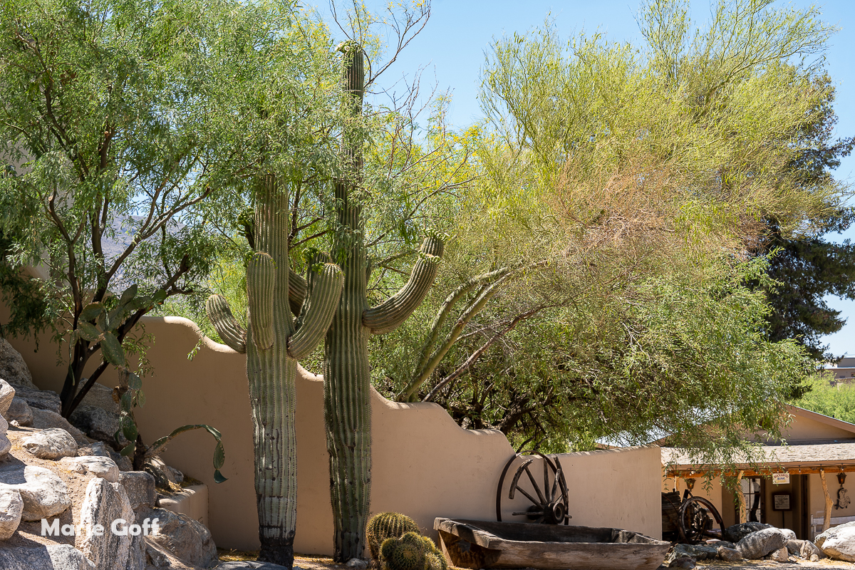 tanque verde ranch