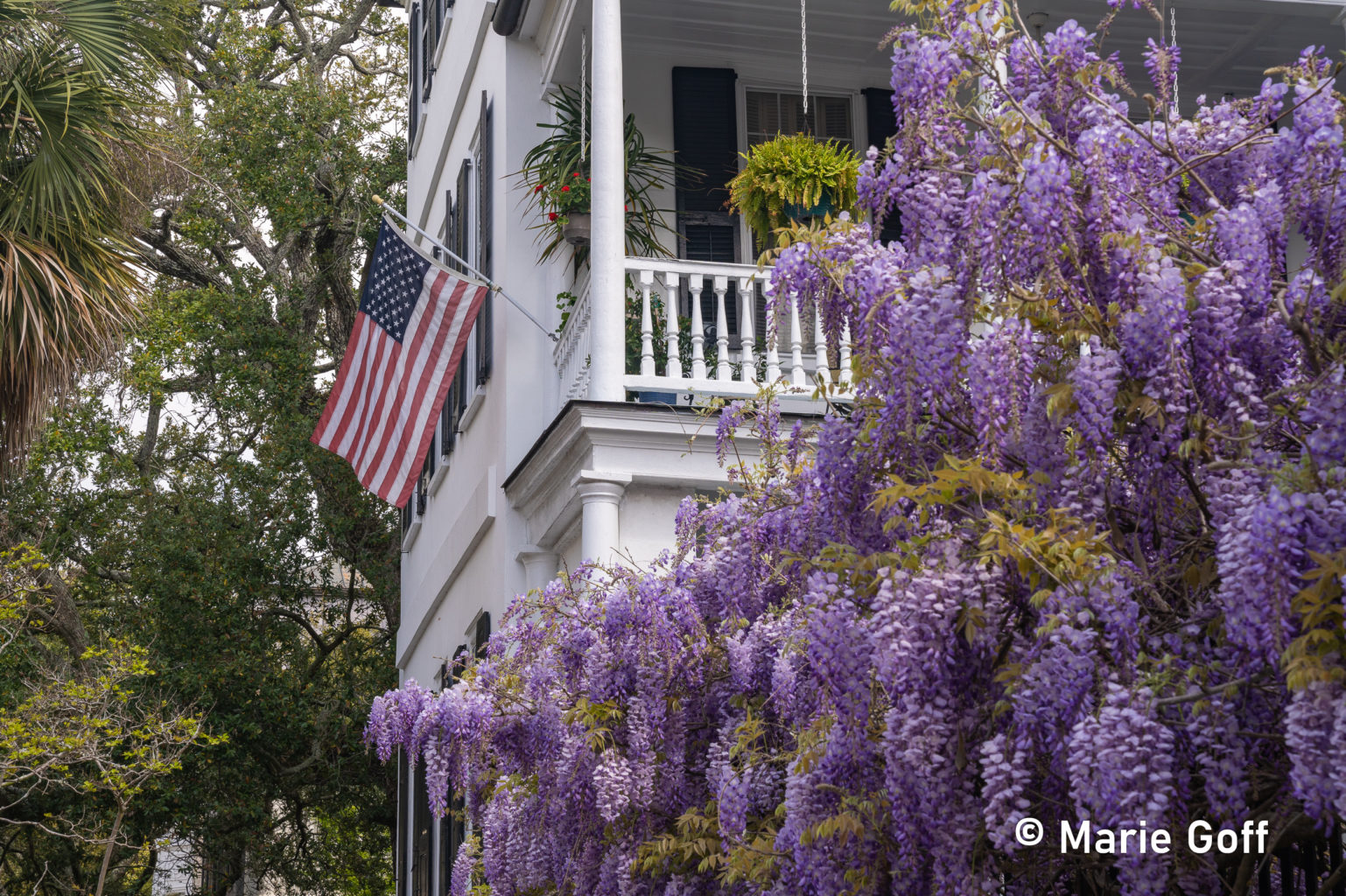 Patriotic South Carolina