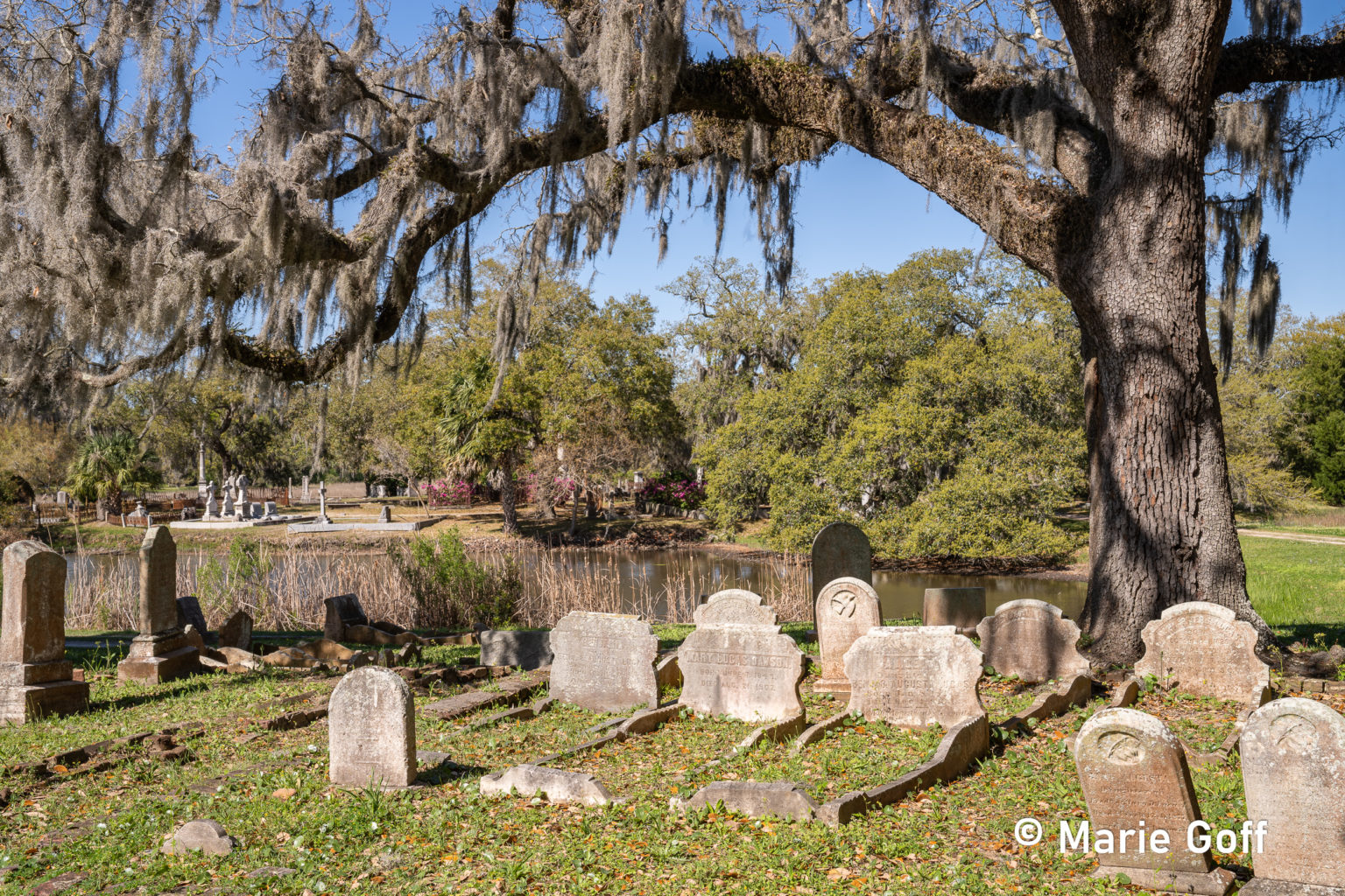 Patriotic South Carolina
