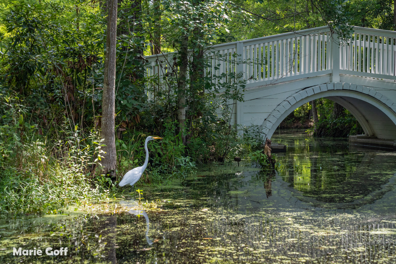 Cypress Gardens Moncks Corner