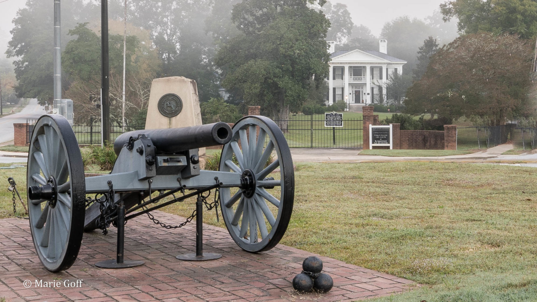 Patriotic South Carolina