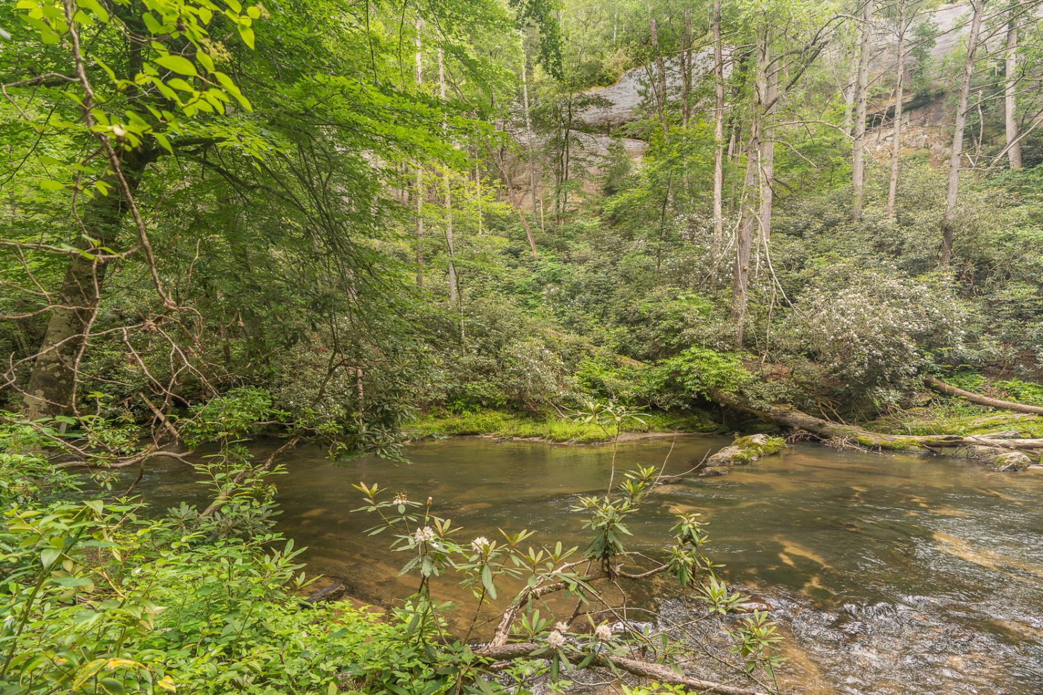 Journey Through South Carolina
