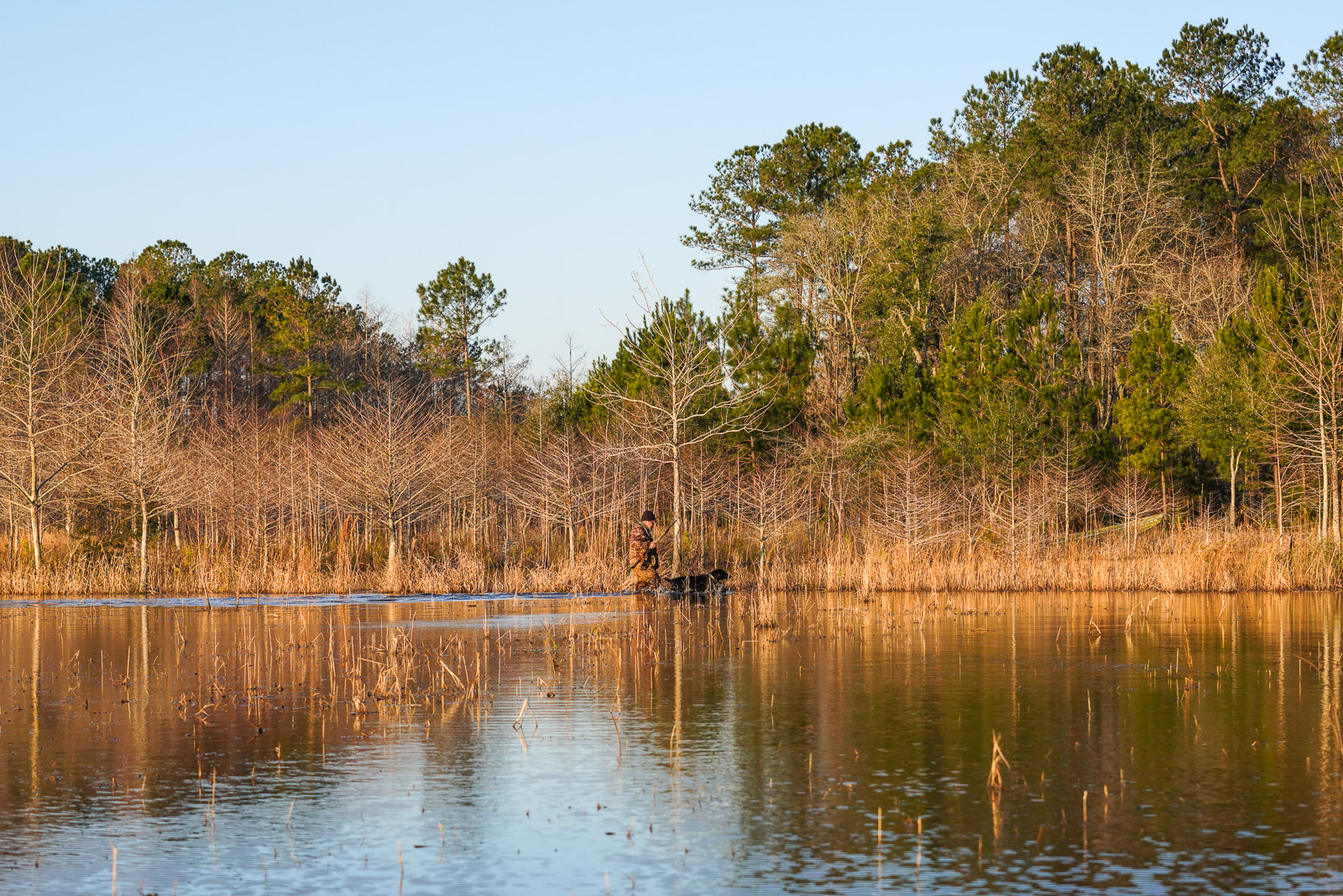 Varnville, South Carolina