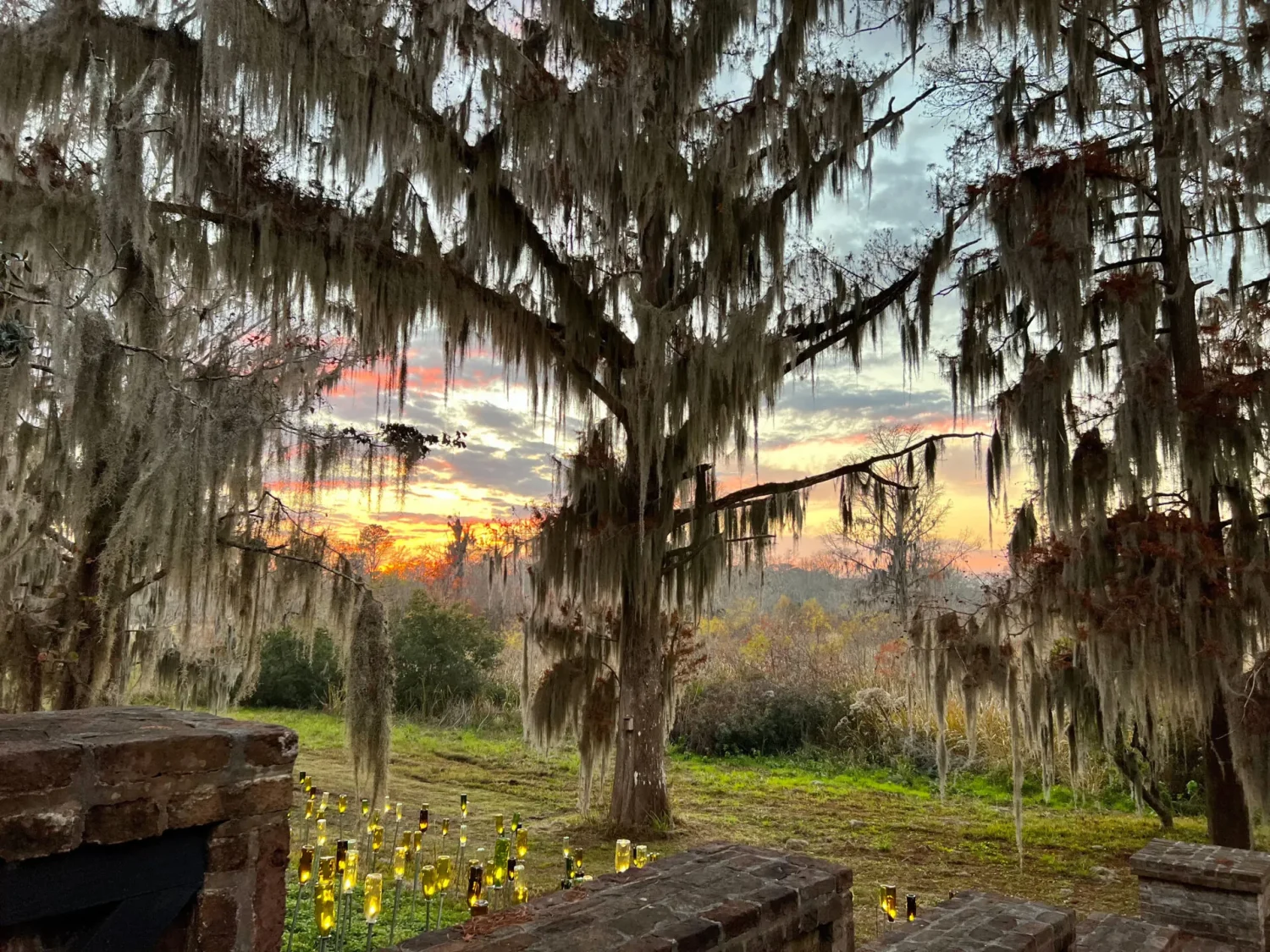 Journey Through South Carolina