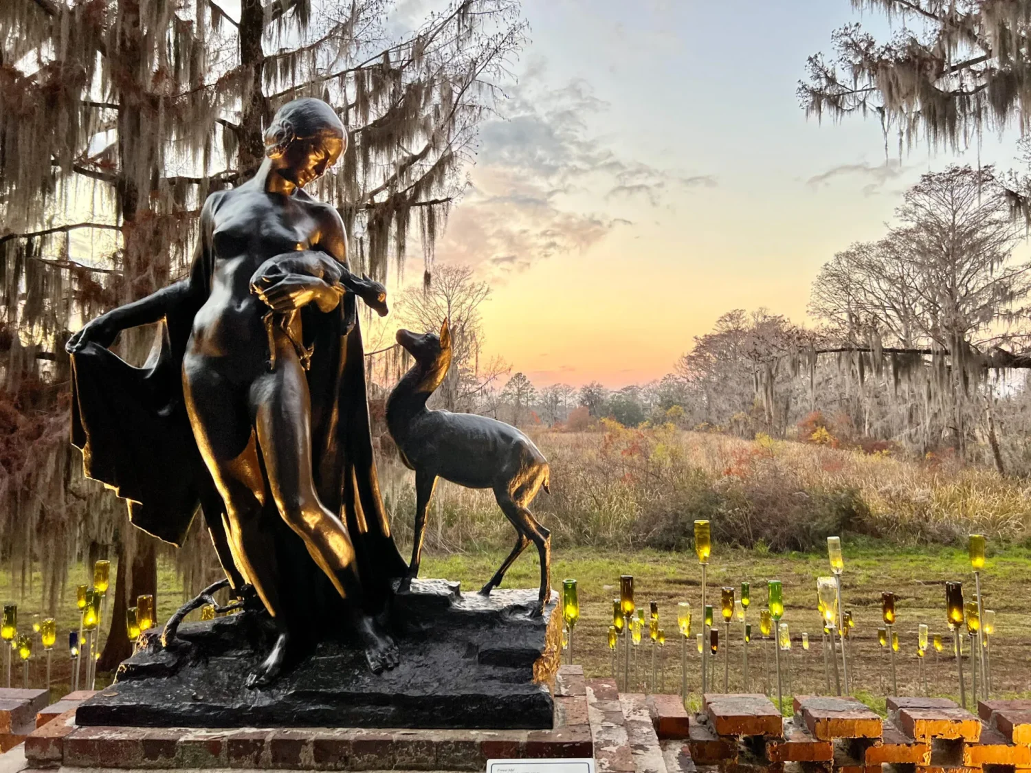 Journey Through South Carolina