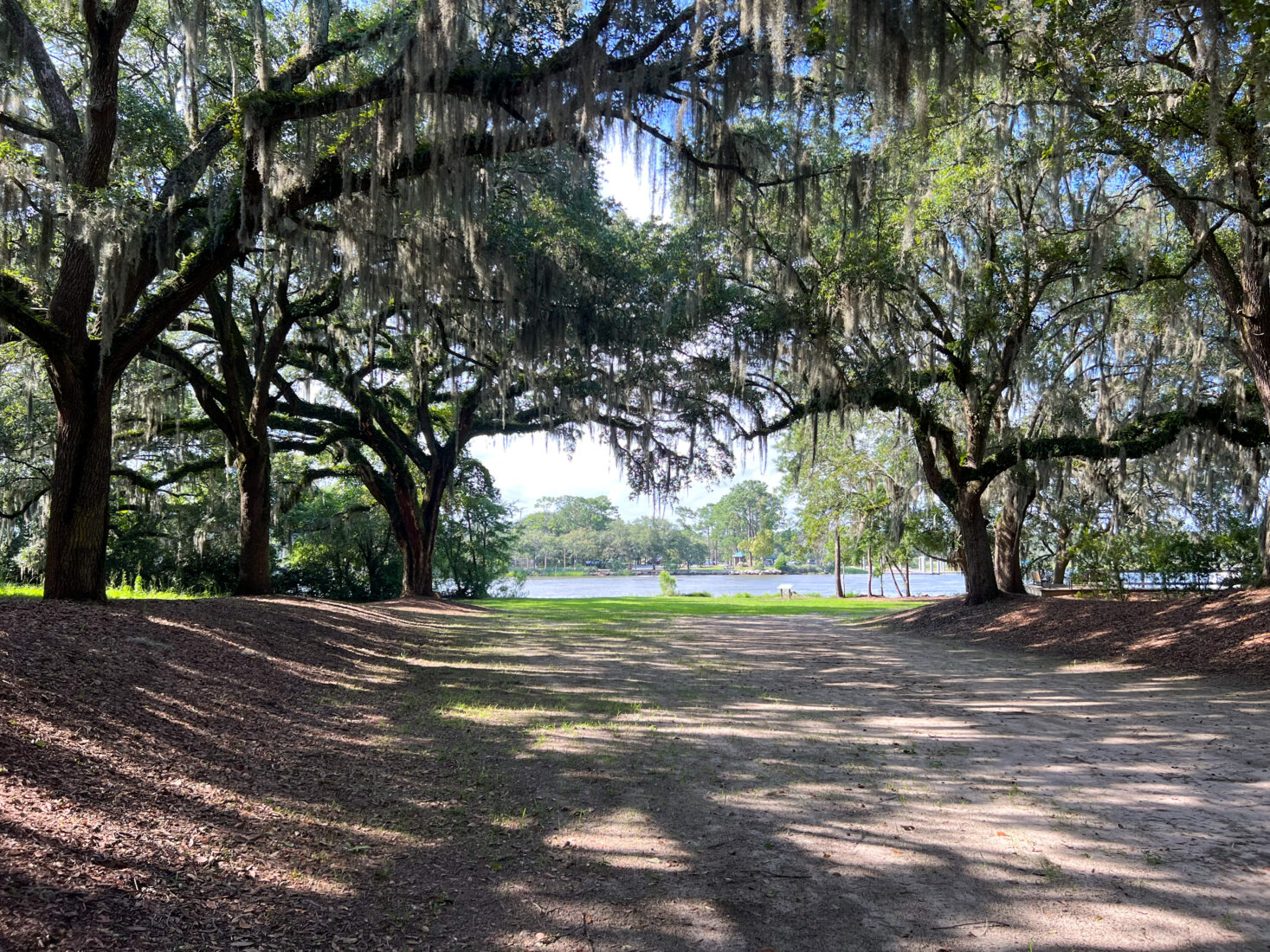 South Carolina Roads