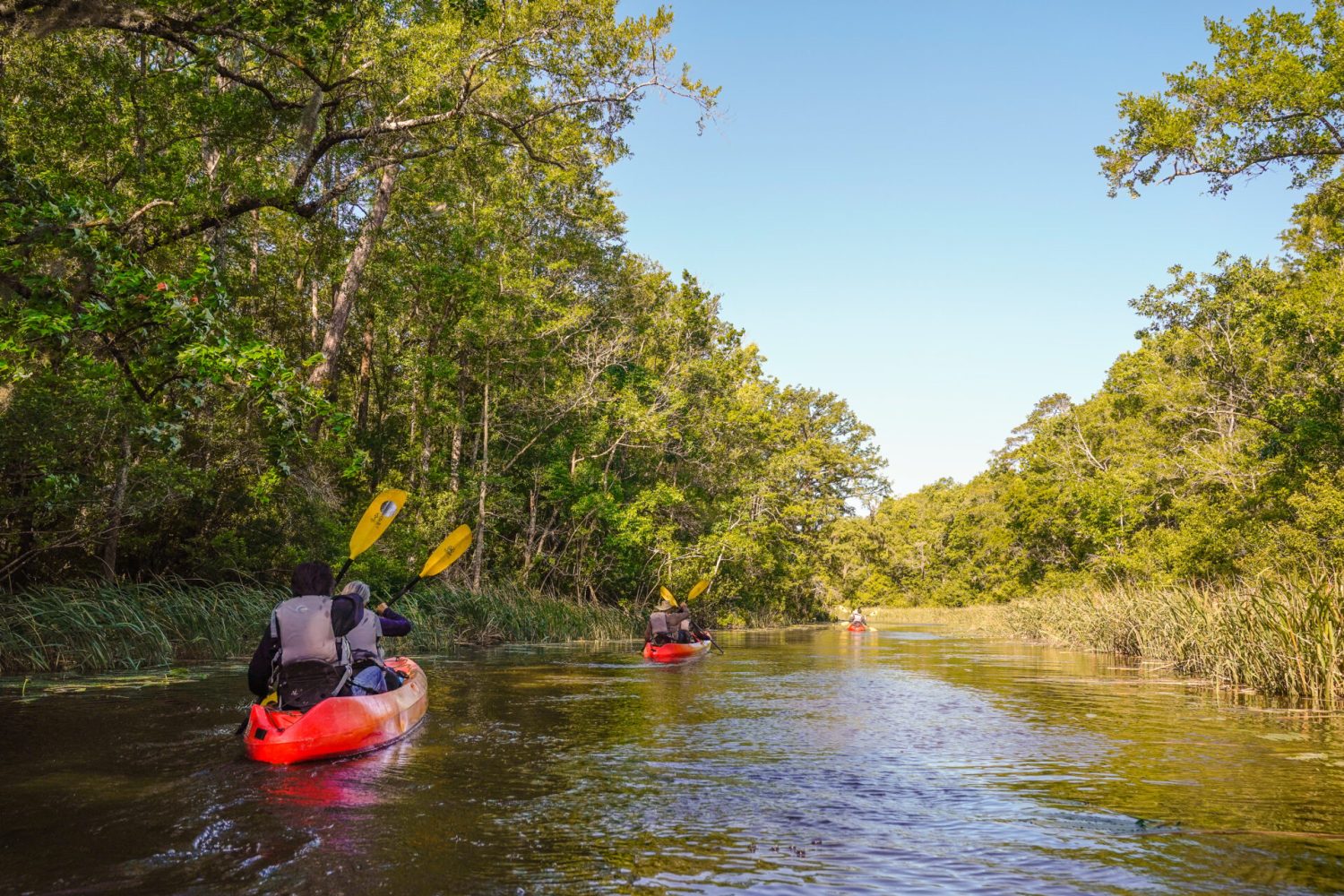 Journey Through South Carolina