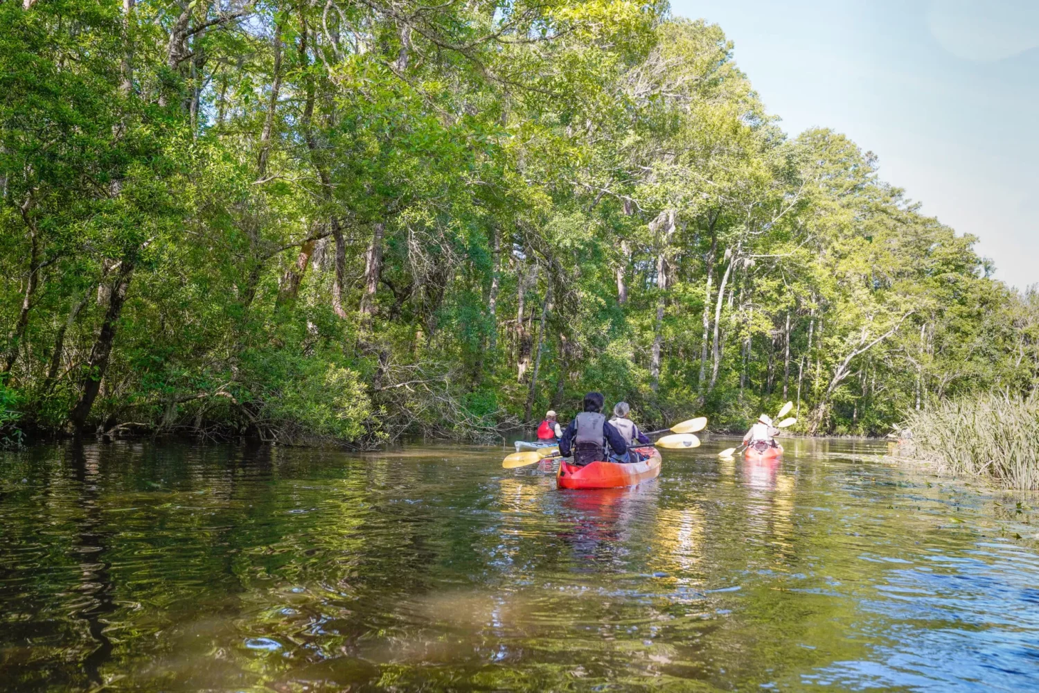 Journey Through South Carolina