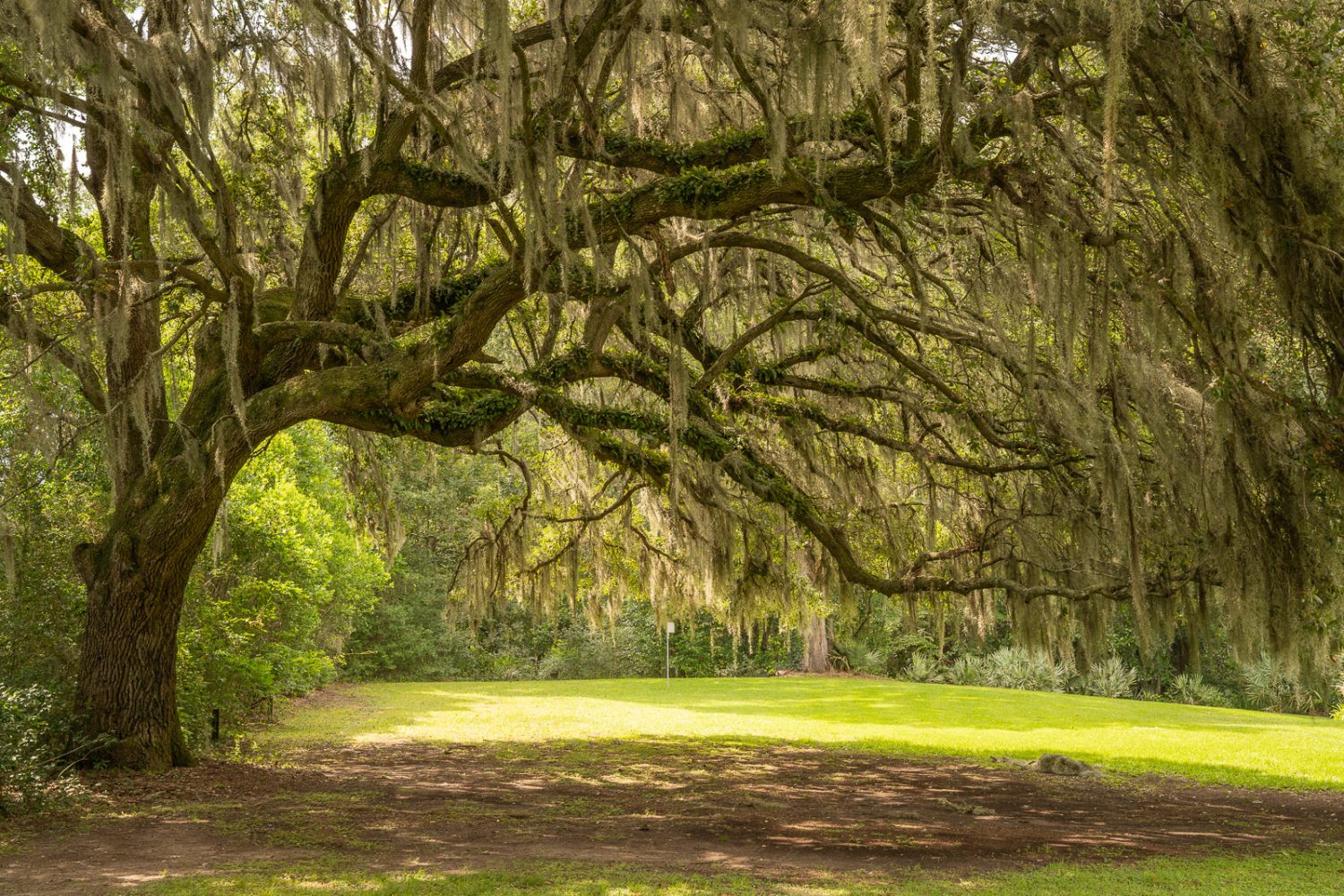 Journey Through South Carolina