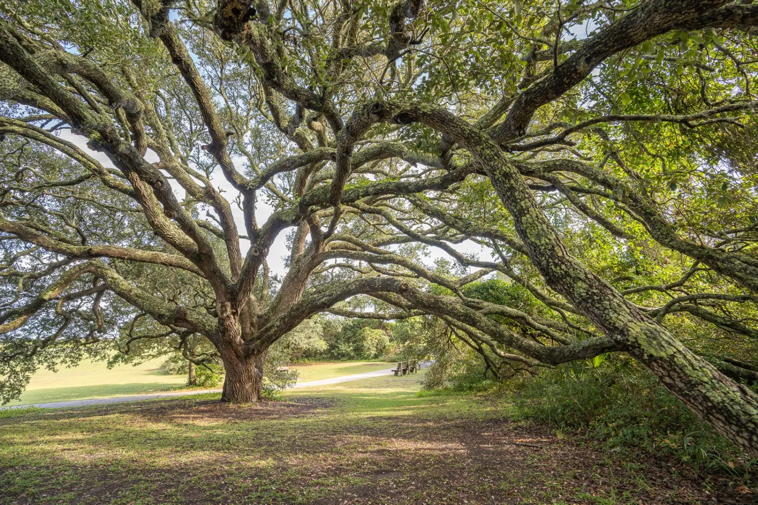 Journey Through South Carolina