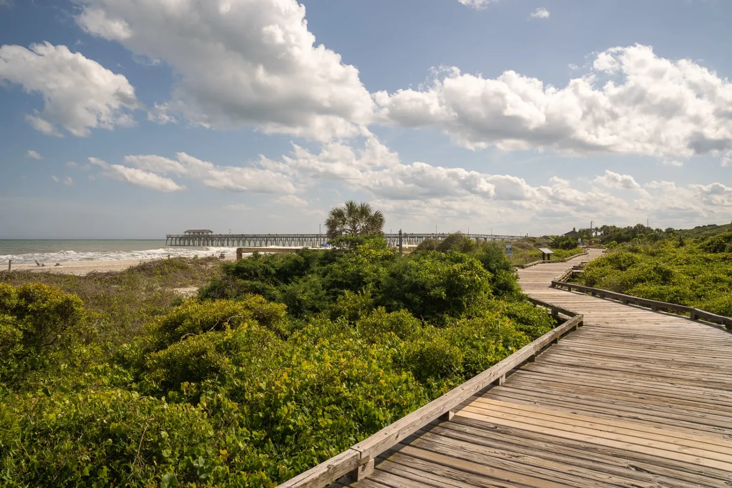 Journey Through South Carolina