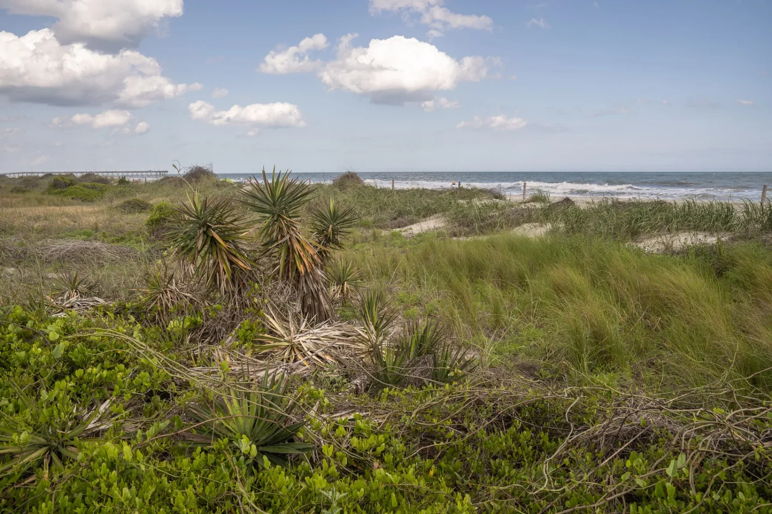 Journey Through South Carolina