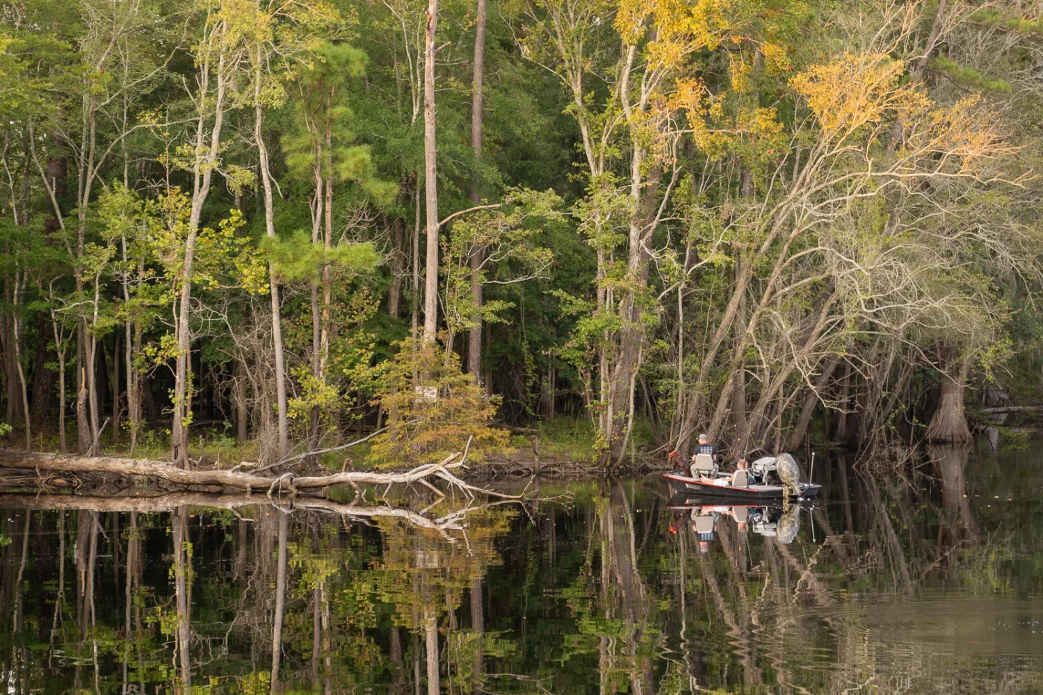 Journey Through South Carolina