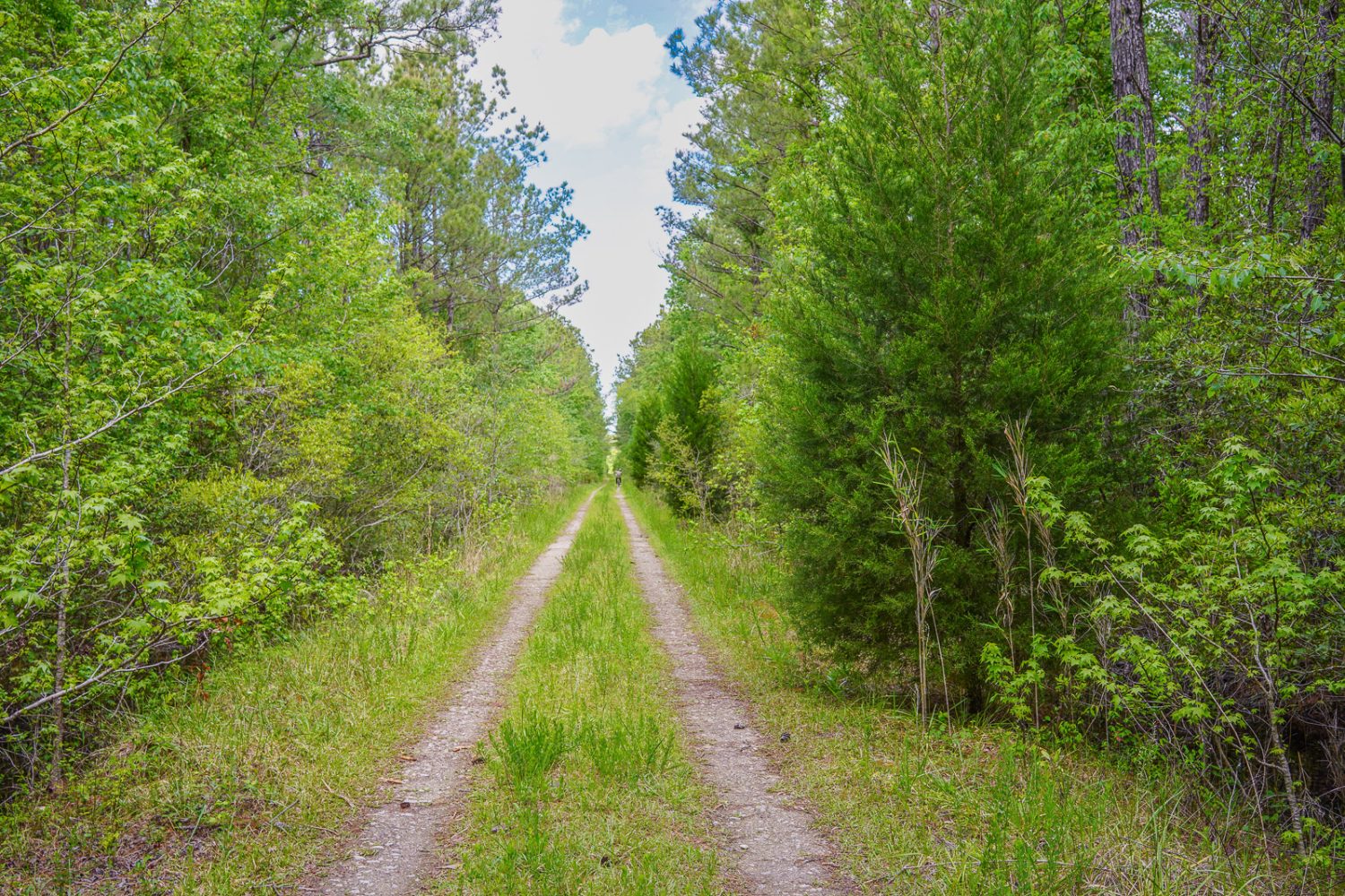 South Carolina Roads