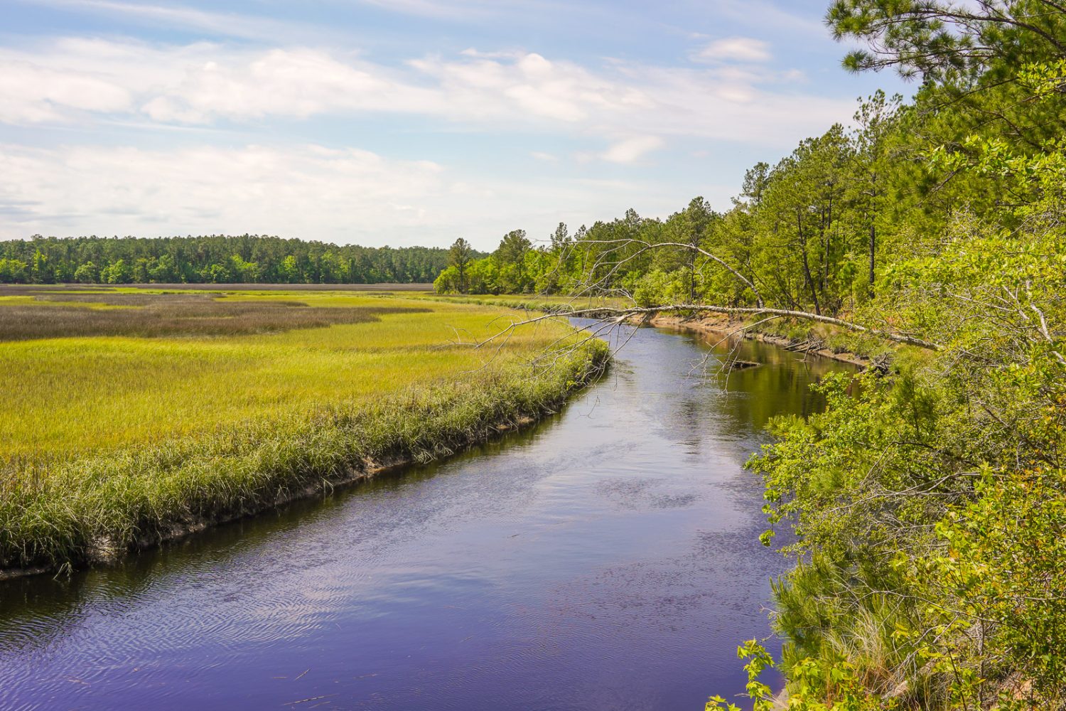 Journey Through South Carolina