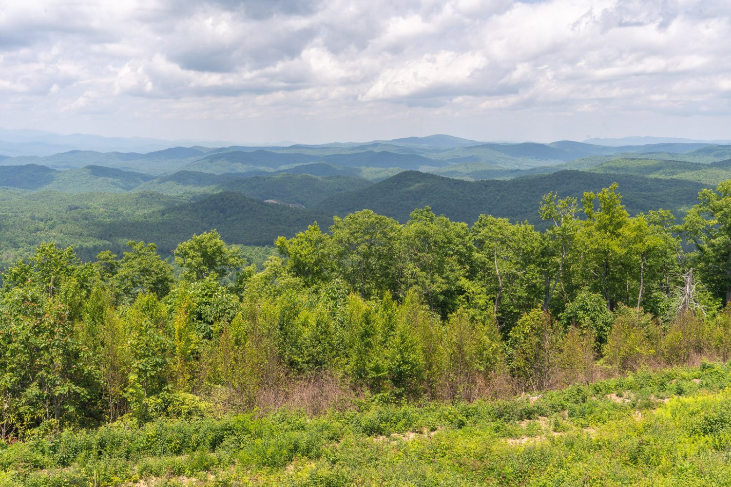 Journey Through South Carolina