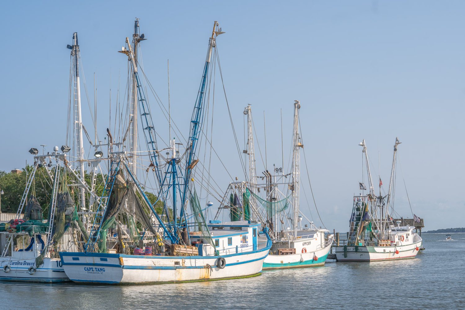 Journey Through South Carolina
