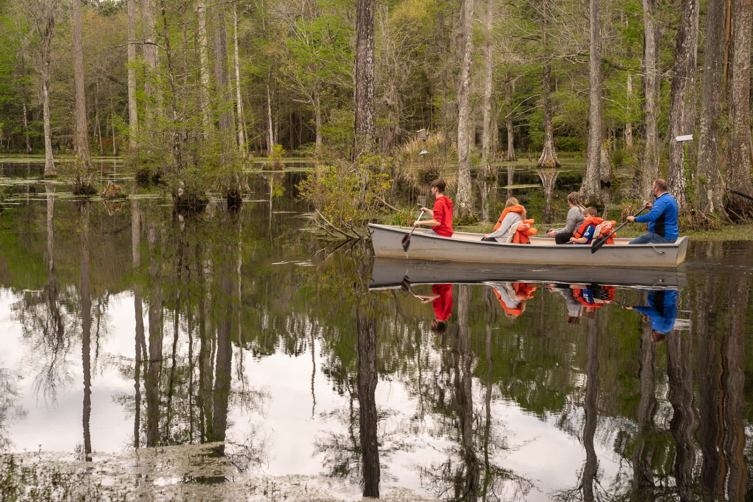 Journey Through South Carolina
