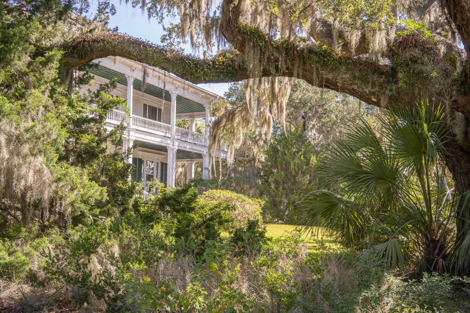 Journey Through South Carolina