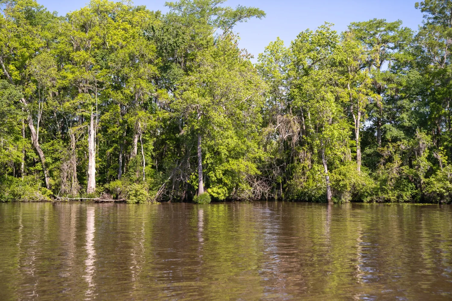 Journey Through South Carolina