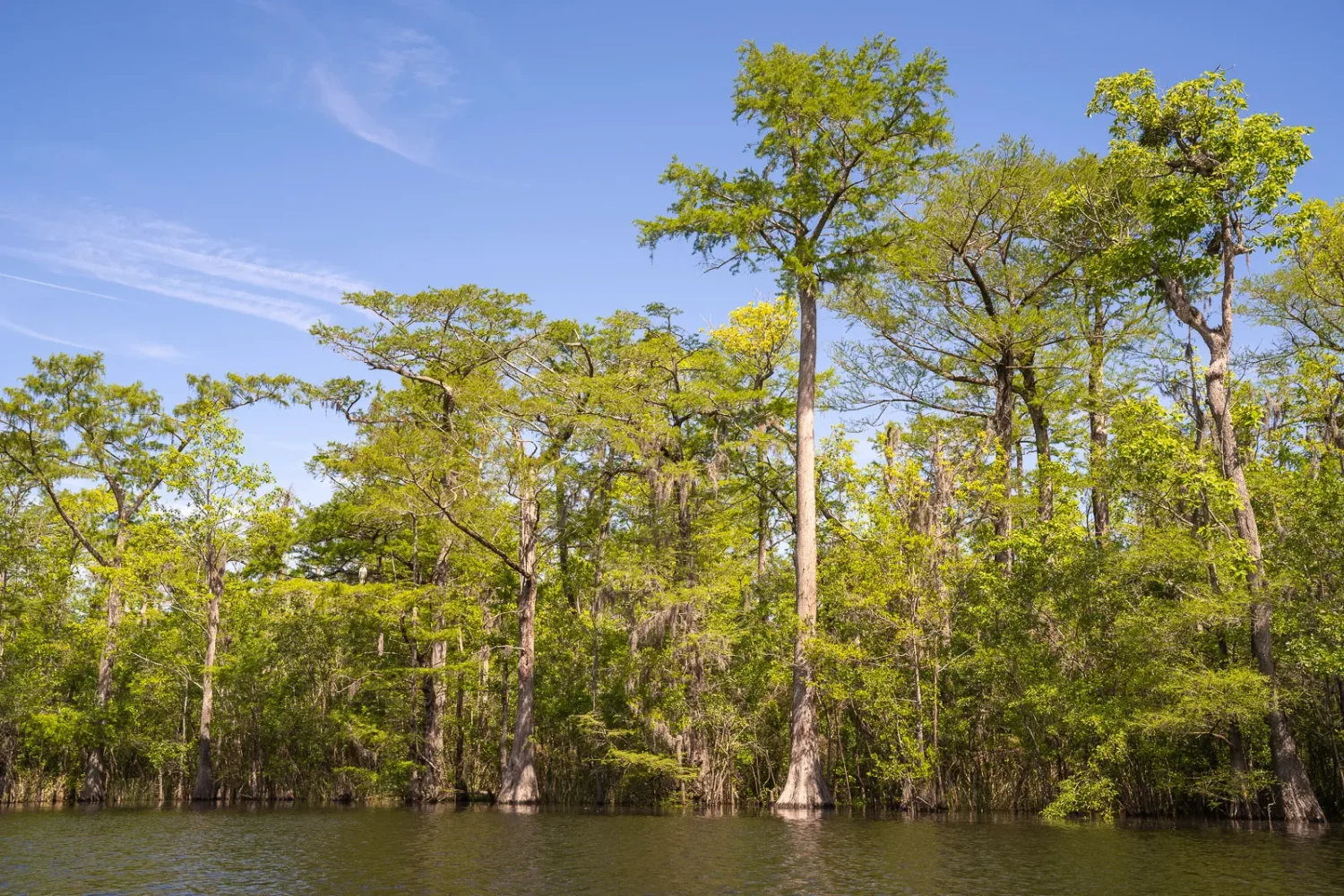 Journey Through South Carolina