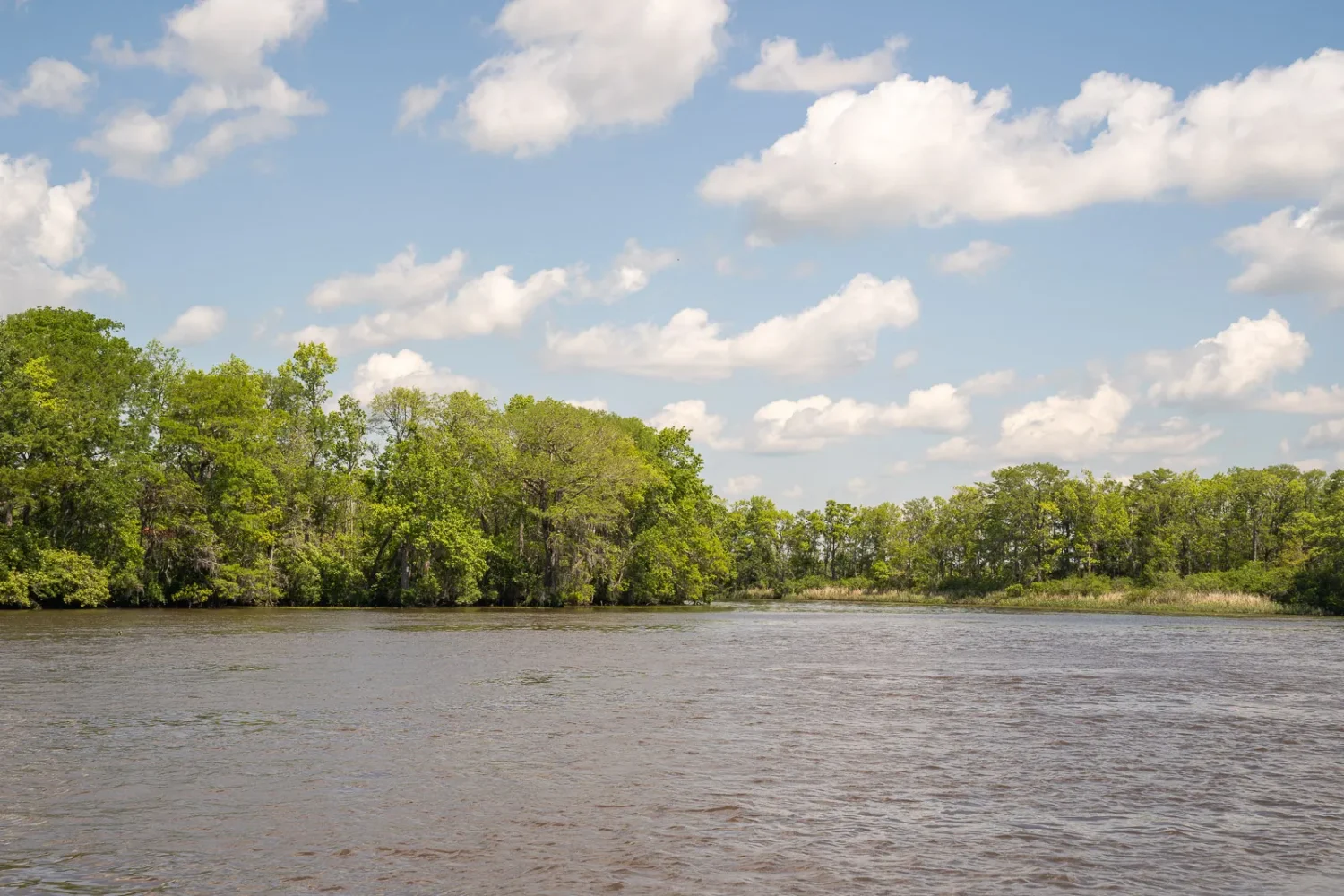 Journey Through South Carolina