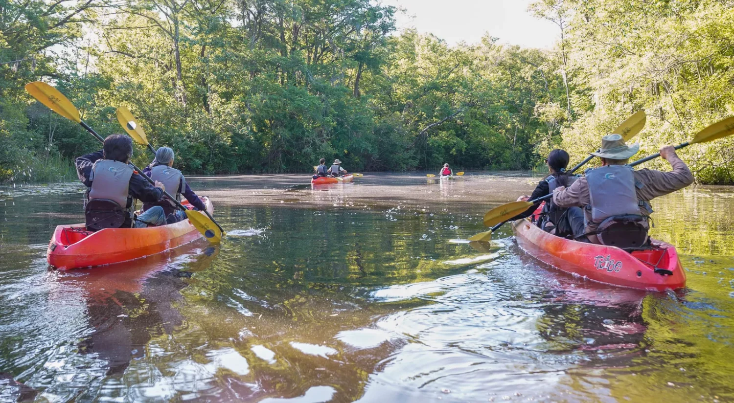 Journey Through South Carolina