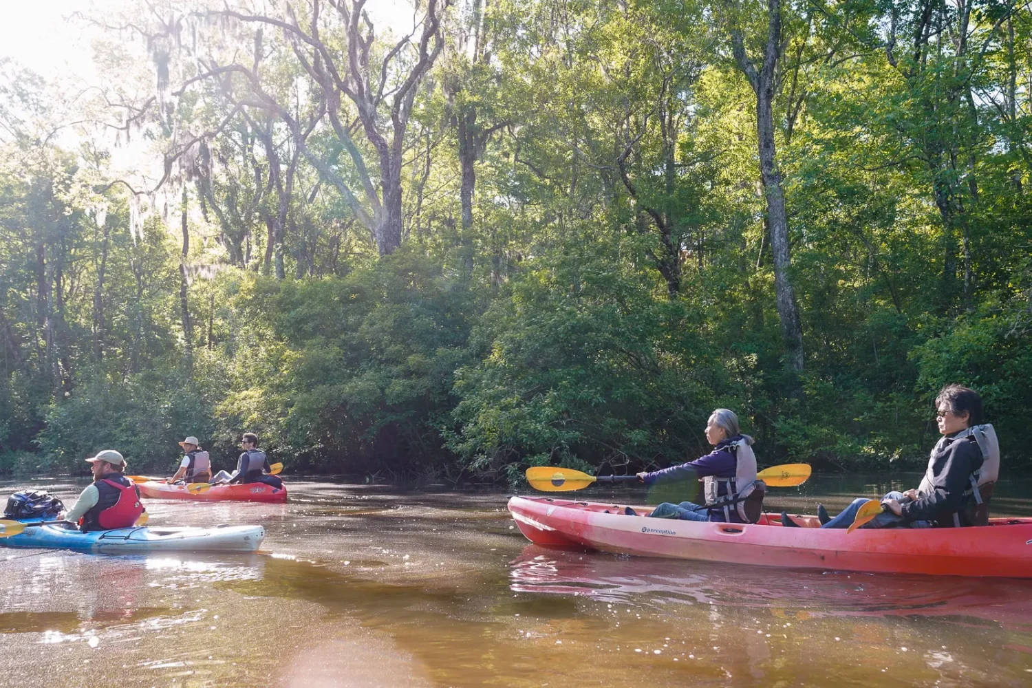 Journey Through South Carolina
