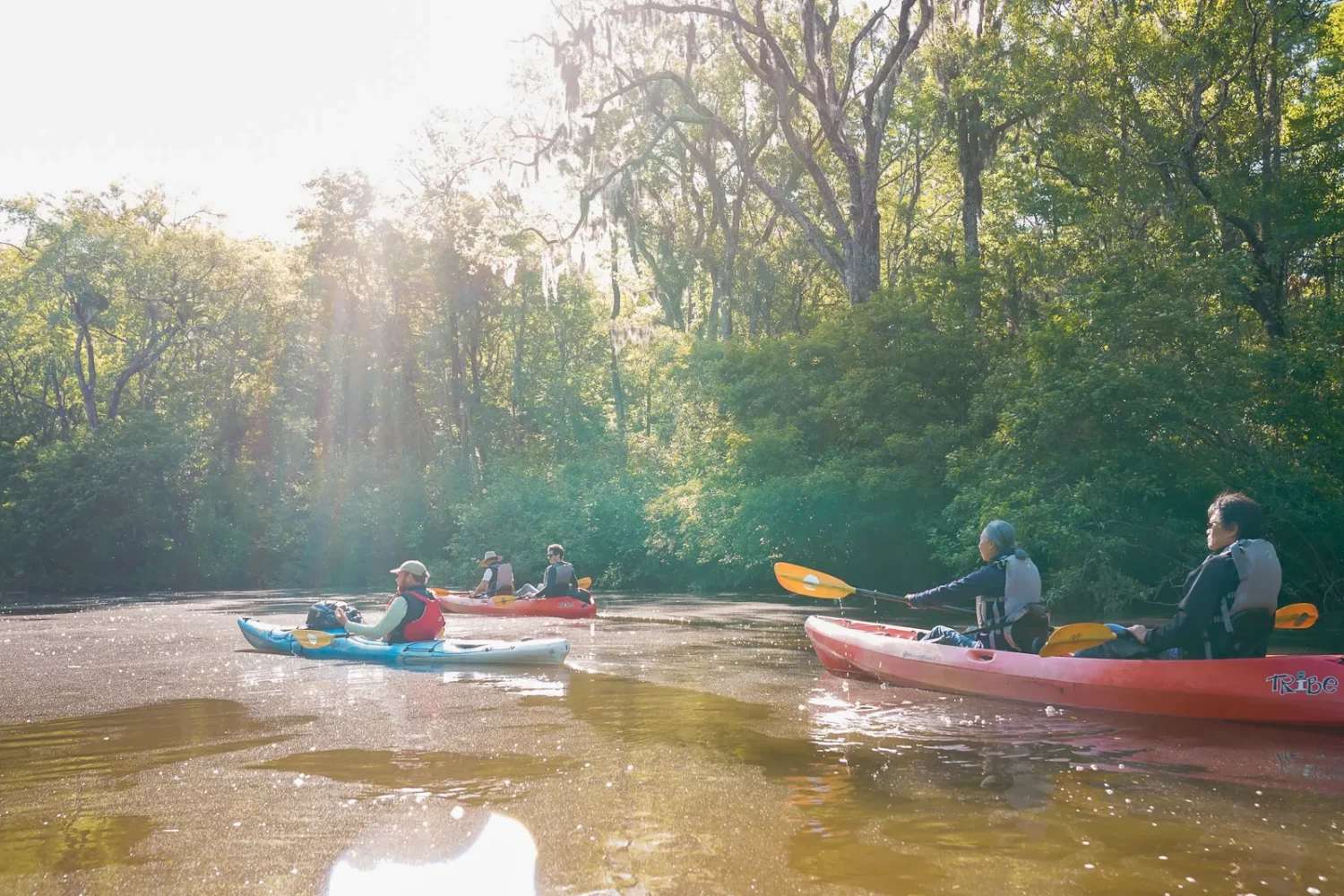 Journey Through South Carolina