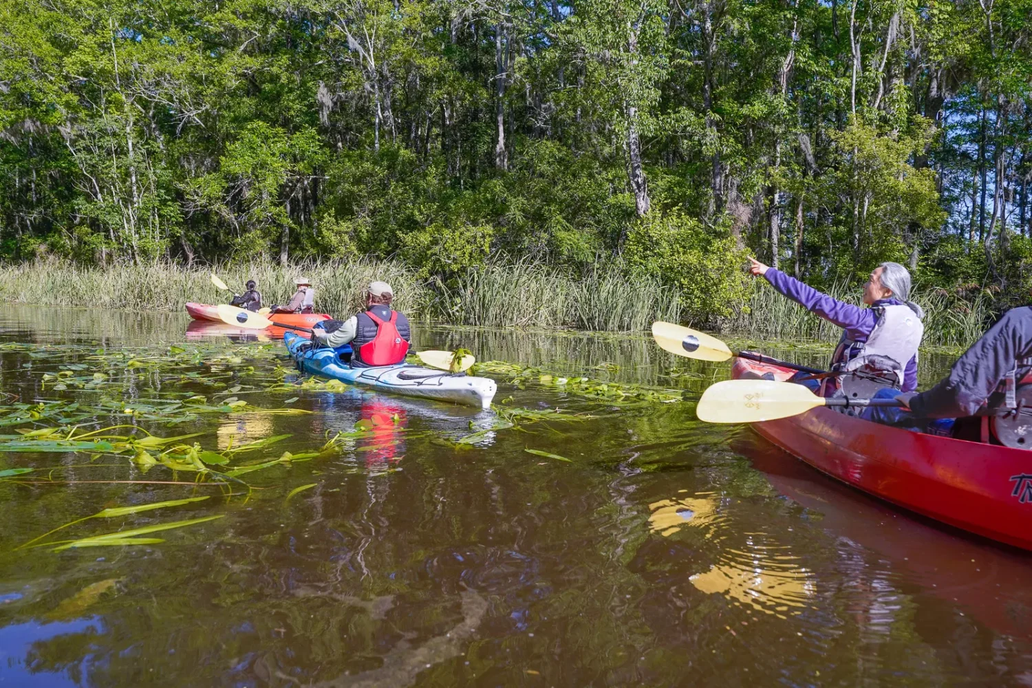 Journey Through South Carolina