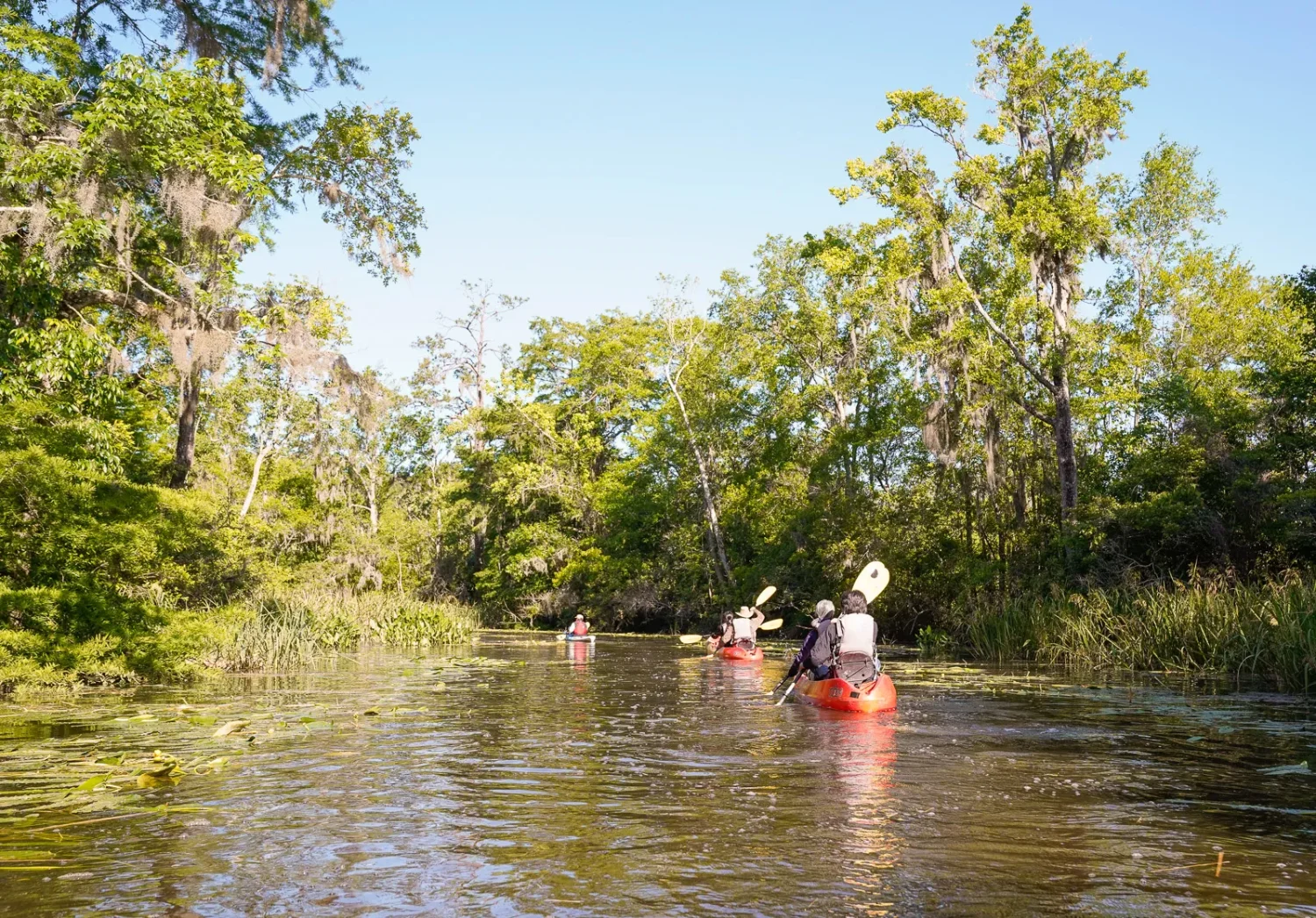 Journey Through South Carolina