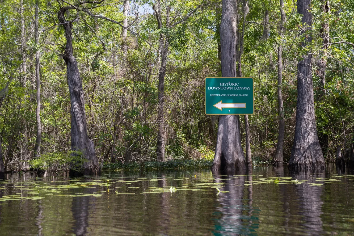 Journey Through South Carolina