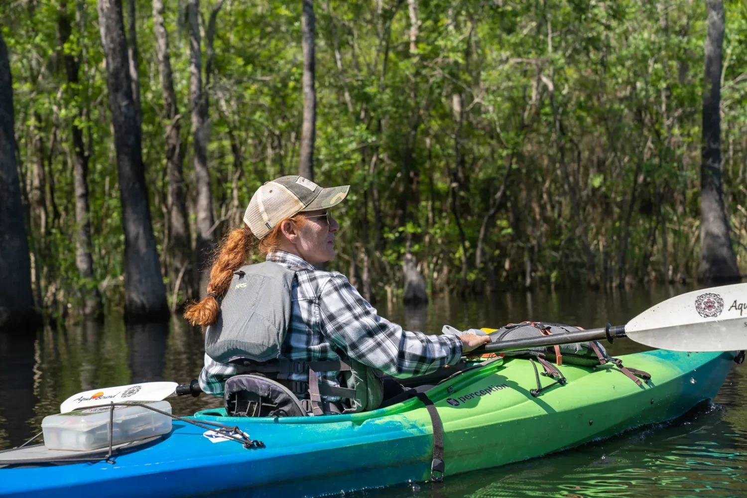 Journey Through South Carolina