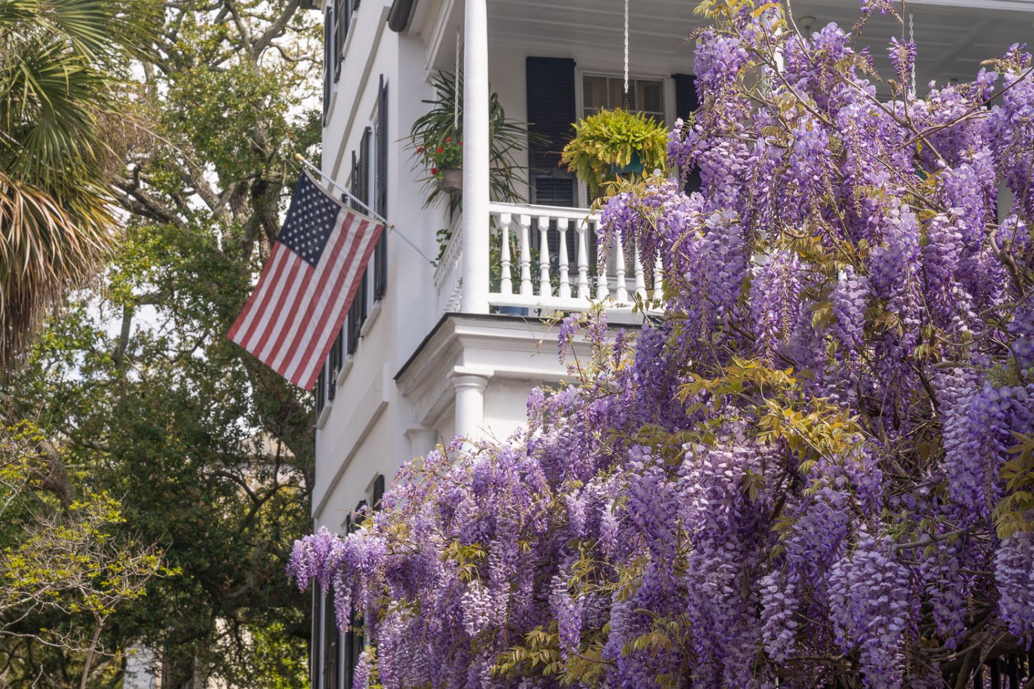 Journey Through South Carolina