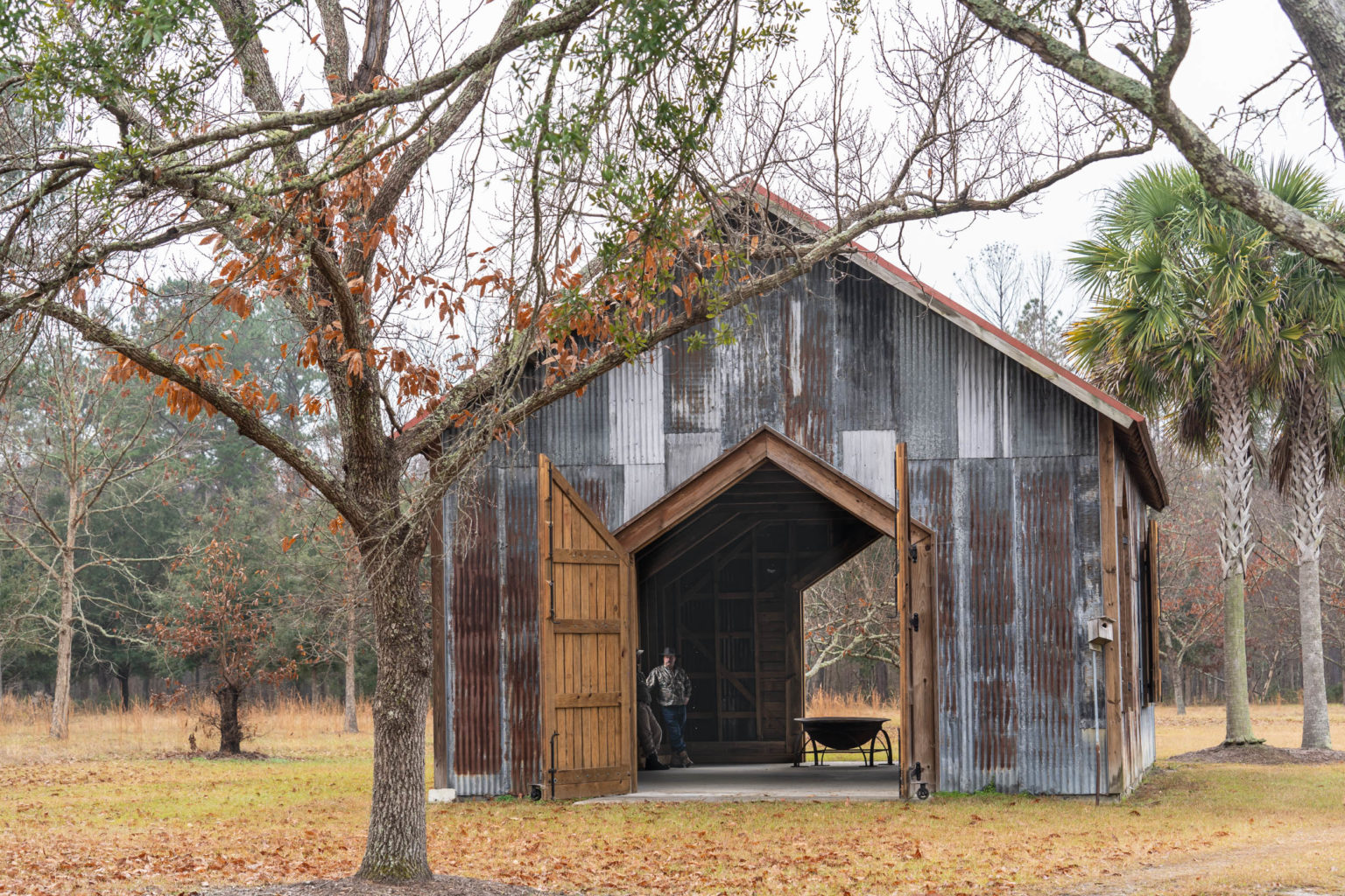Journey Through South Carolina