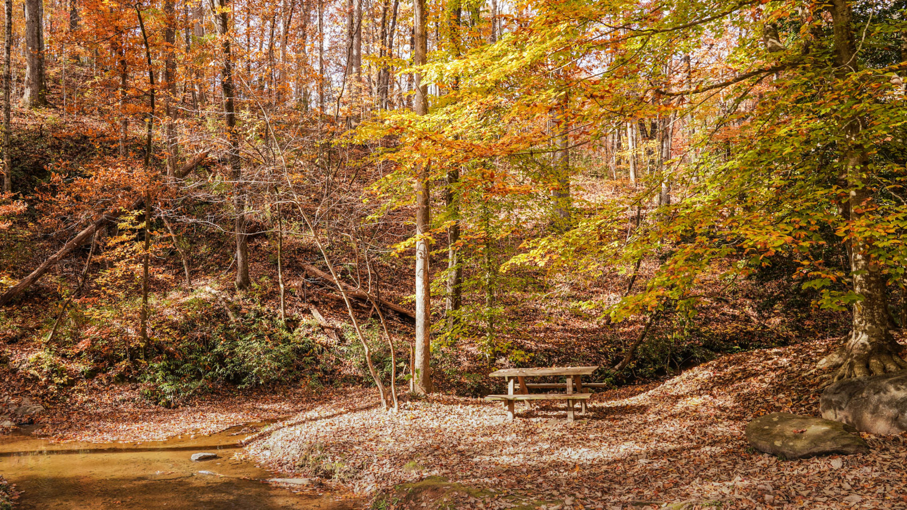Journey Through South Carolina