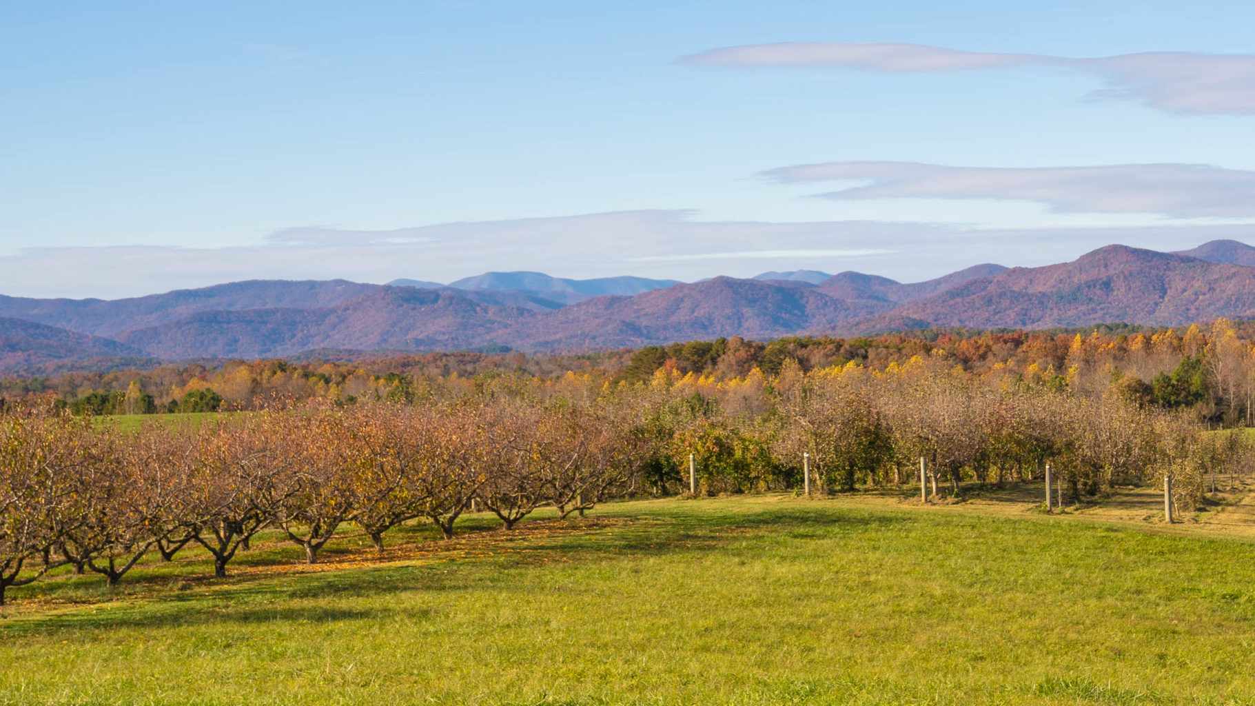 Journey Through South Carolina