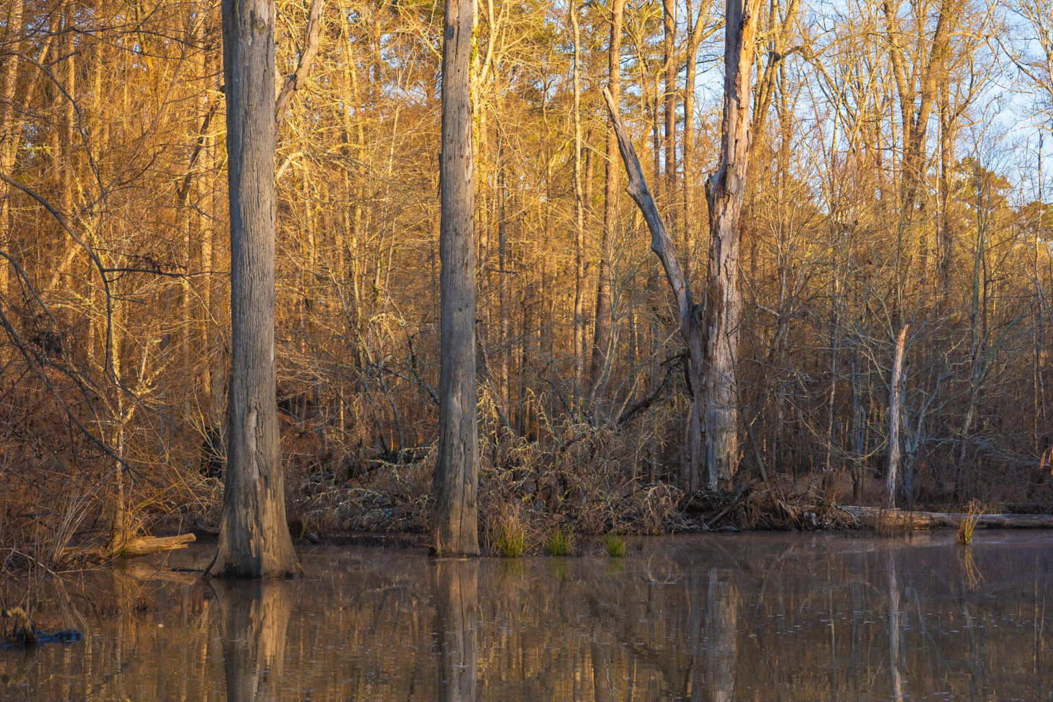 Journey Through South Carolina