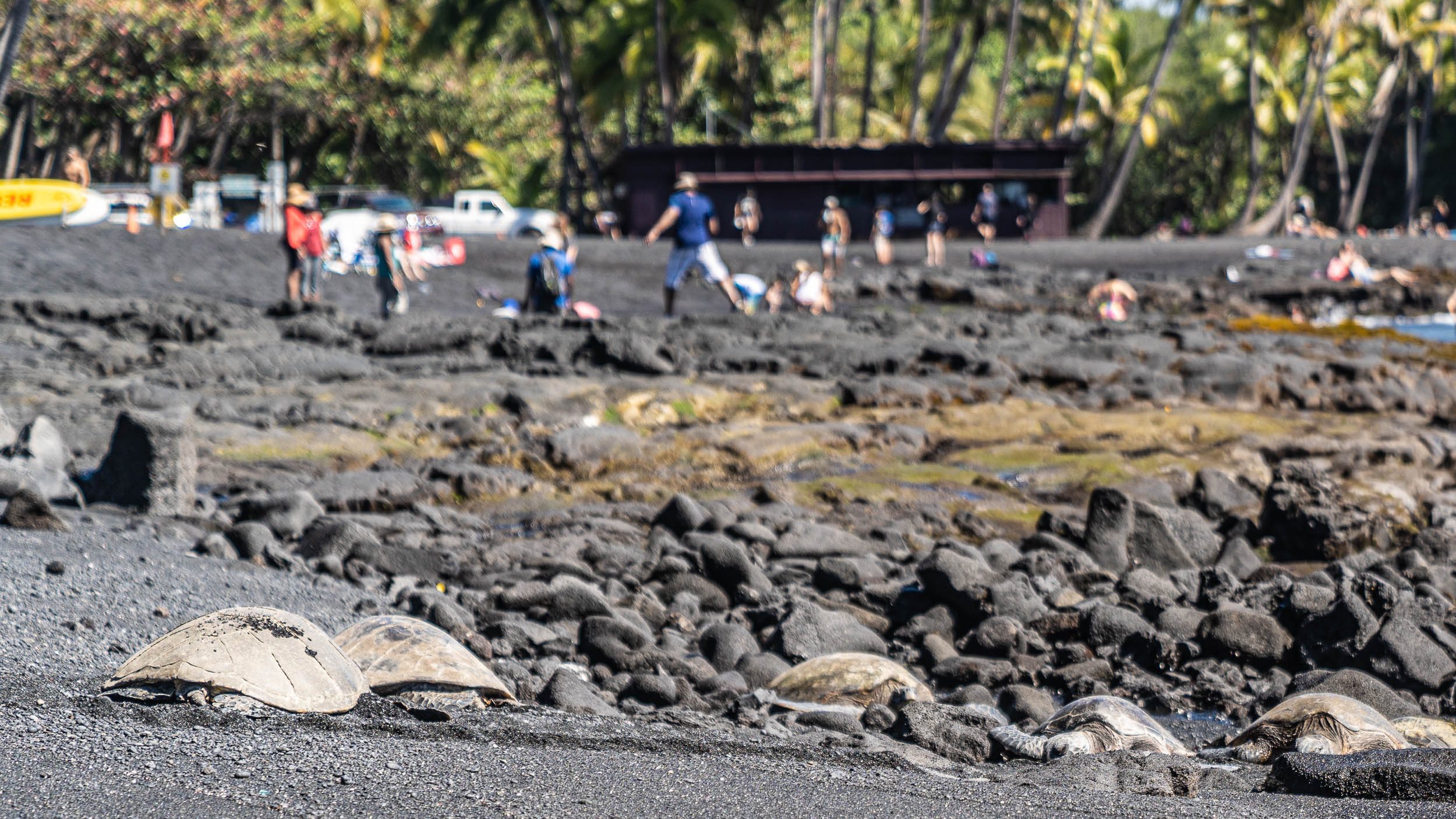 Big Island - Hawaii
