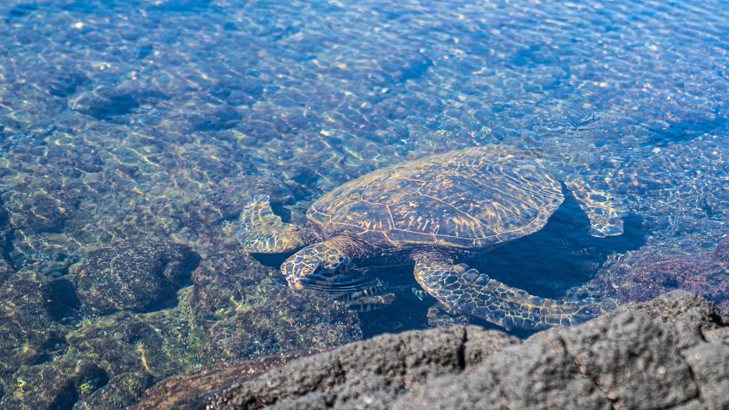 Big Island of Hawaii