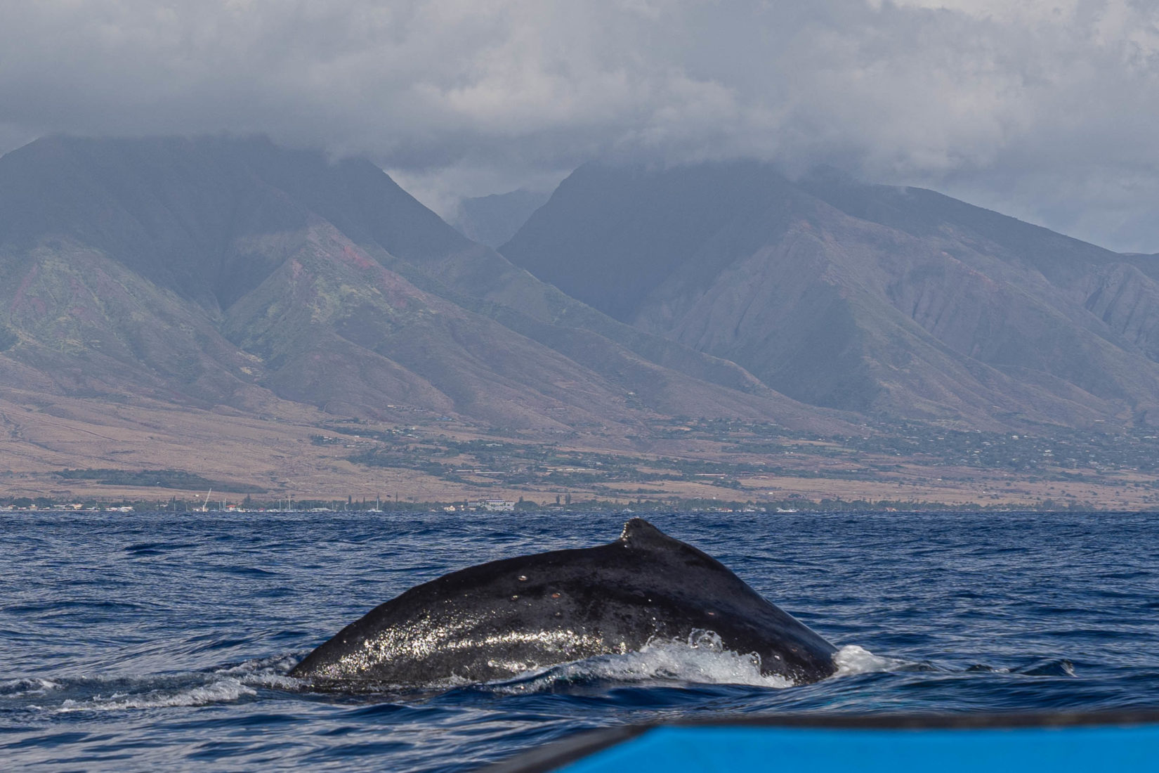 Hawaii