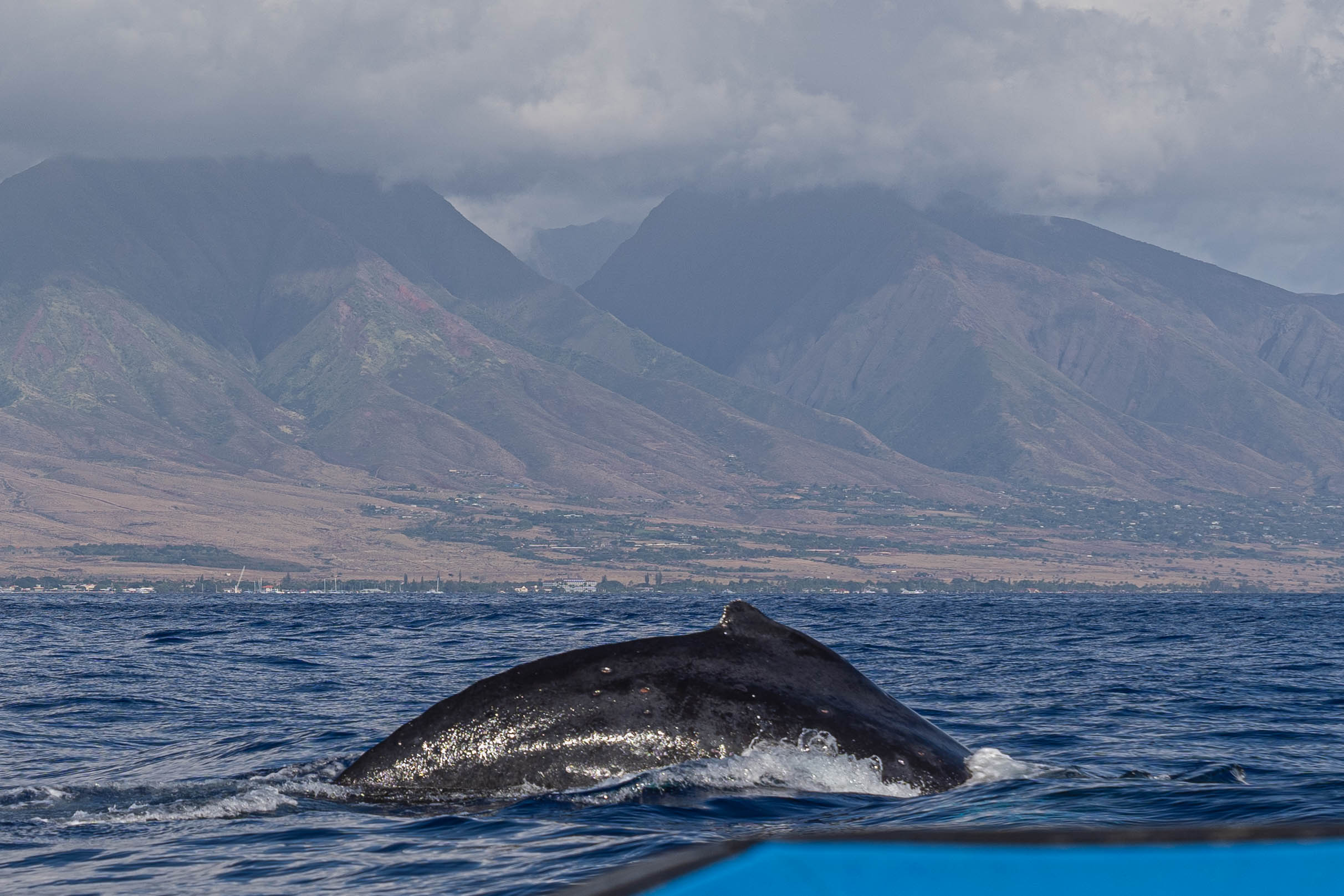 Beautiful Things About Hawaii