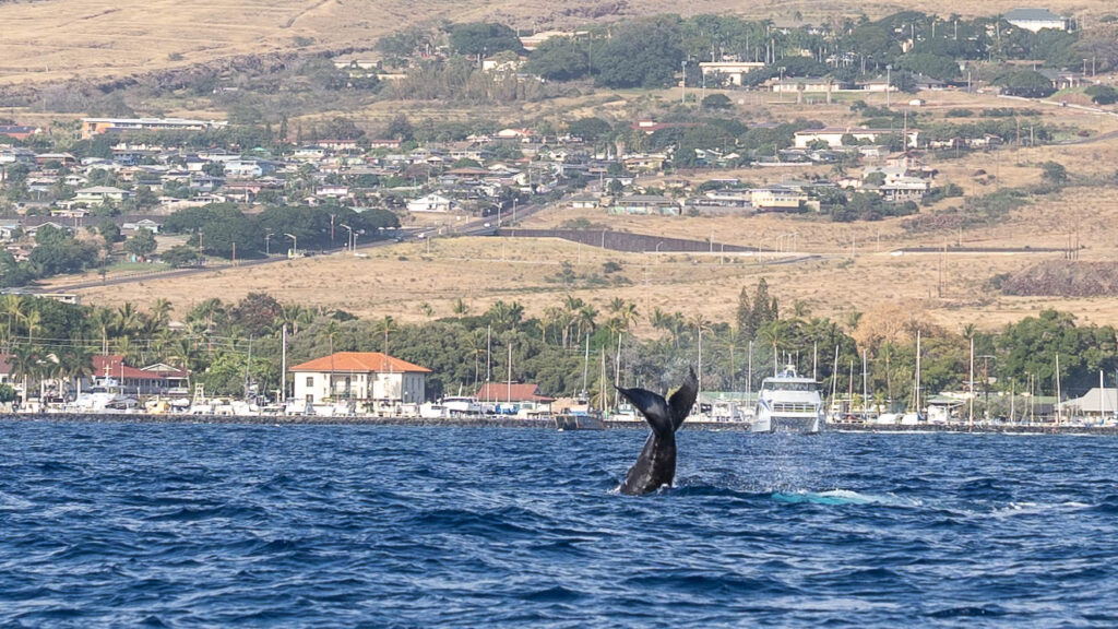Hawaii