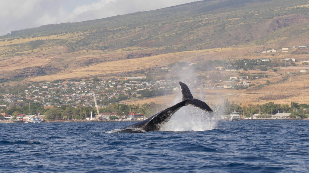 Hawaii