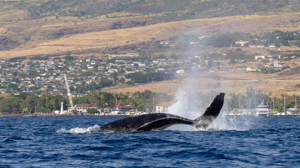 Hawaii