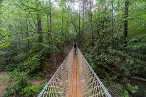 Palmetto Trail